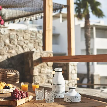 Hotel Palladium 5*